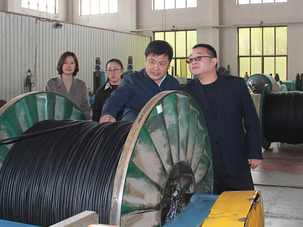 2018年11月5日，，，，邢台市工商联主席王建江到尊龙凯时线缆集团调研