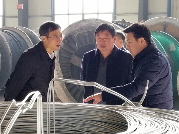 河北省市场监视治理局局长金洪钧到公司调研