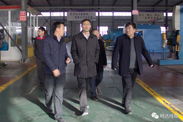 省市场羁系局局长金洪钧调研尊龙凯时